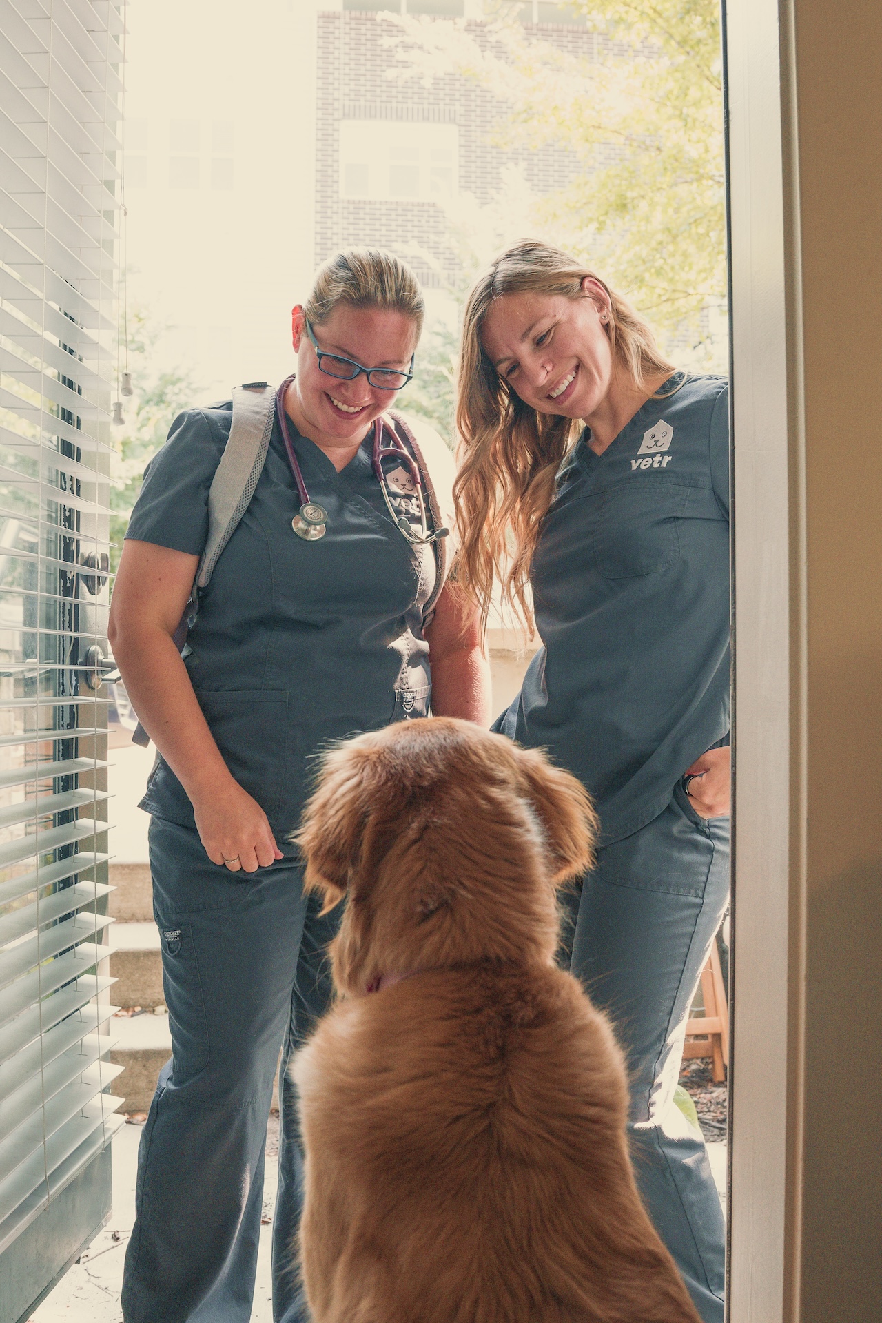 Vetr Health mobile veterinary team caring for a dog in a client's living room